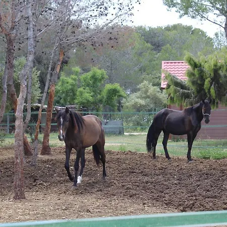 Rocaplana Club De Campo キャンプ場 Vilarrodona
