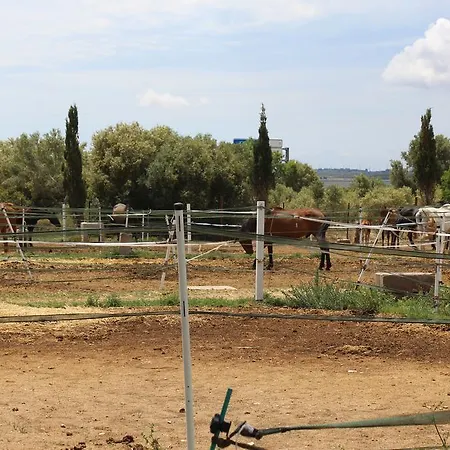 Rocaplana Club De Campo