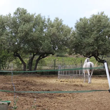 キャンプ場 Rocaplana Club De Campo *