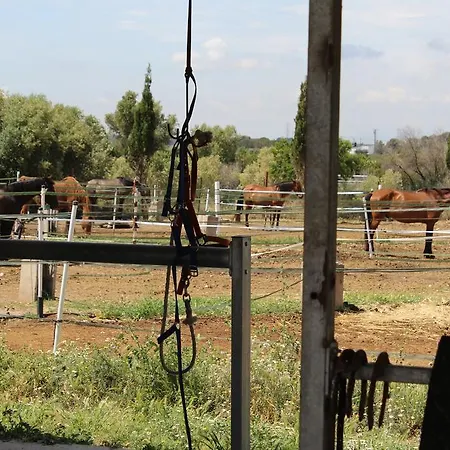 Rocaplana Club De Campo