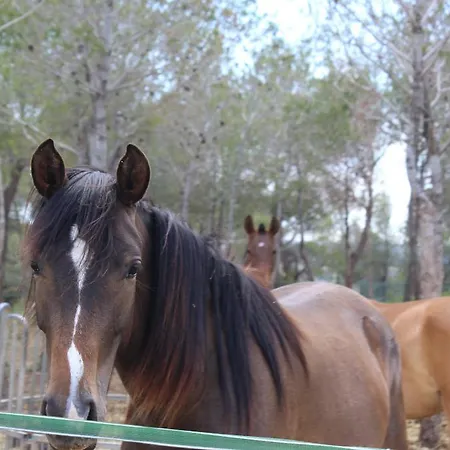 Rocaplana Club De Campo * Vilarrodona