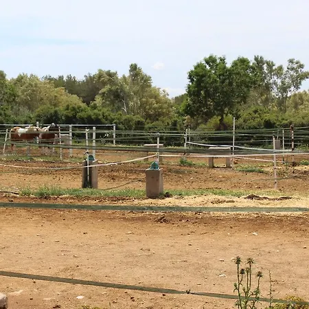 Rocaplana Club De Campo キャンプ場 Vilarrodona
