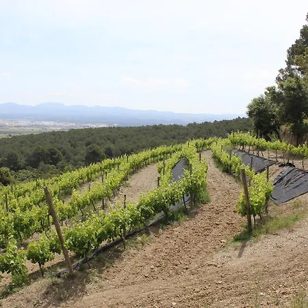 キャンプ場 Rocaplana Club De Campo Vilarrodona