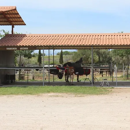 キャンプ場 Rocaplana Club De Campo