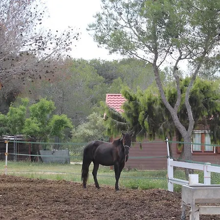 Rocaplana Club De Campo Vilarrodona