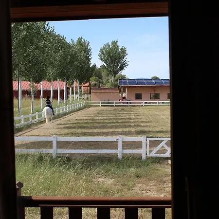 Rocaplana Club De Campo キャンプ場 Vilarrodona