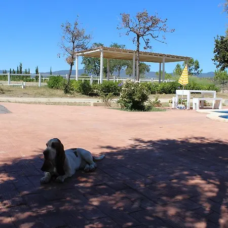 キャンプ場 Rocaplana Club De Campo